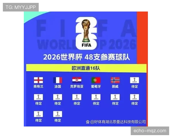 挪威队2026世界杯D组出线概率分析 挪威队2026世界杯D组出线概率分析