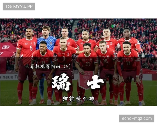 瑞士队世界杯B组出线希望有多大
